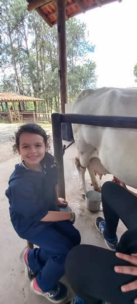 Bicho Mania 2022